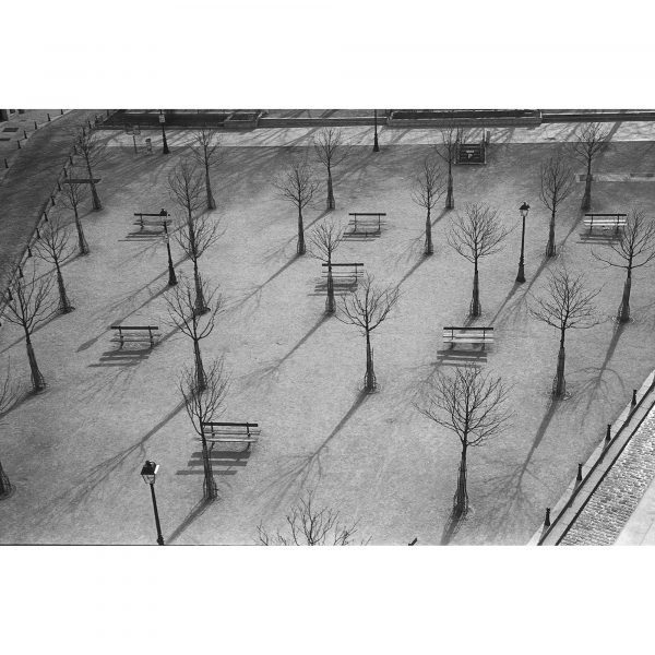 Jean Vinegla : place Dauphine, sous le soleil d'hiver, Paris, 2011