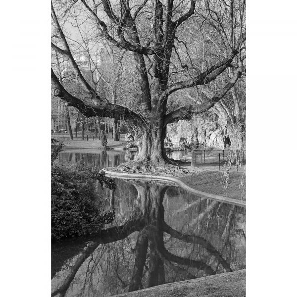 Jean Vinegla :  : jardins du Champs de Mars, à coté de la tour Eiffel, Paris, 2010