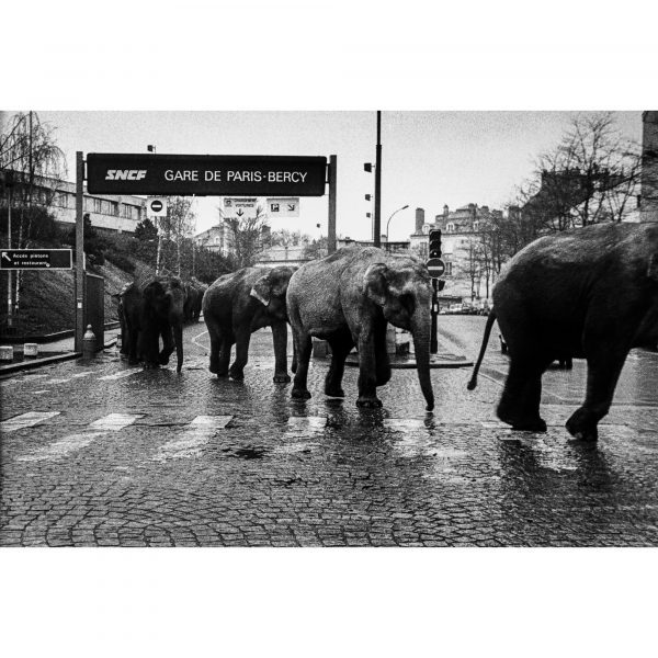 José Nicolas : The American Circus à la Gare de Bercy, Paris