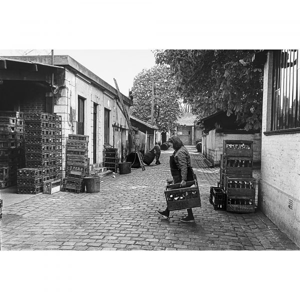 Pascal Baril : Les halles de vins à Bercy, Paris, 1982