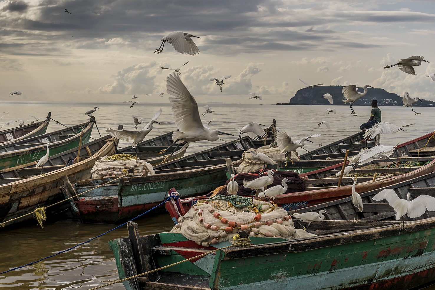 Lake Victoria slowly dying