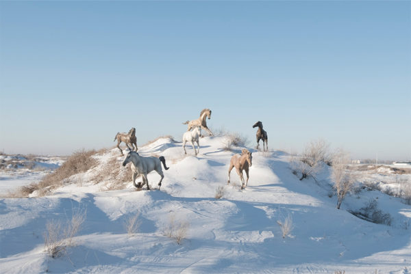 Photo couleur de sculptures de chevaux Kyzylorda au Kazaksthan en 2017 par Didier Bizet, Atelier Galerie Taylor à Paris