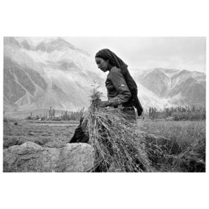 Photographie noir et blanc de Marie Dorigny d'une glaneuse en Inde au Cachemire, Atelier Galerie Taylor à Paris