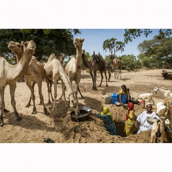Frédéric Noy : S’abreuver au wadi, Sud Darfour, Soudan, 2006
