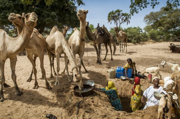 Frédéric Noy : S’abreuver au wadi, Sud Darfour, Soudan, 2006