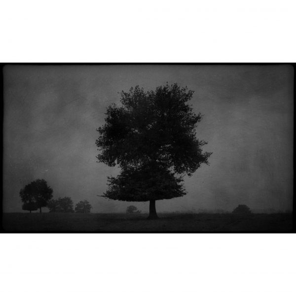 Philippe Bréson : Environs de Bourbon-en-Archambault, Allier, 2013
