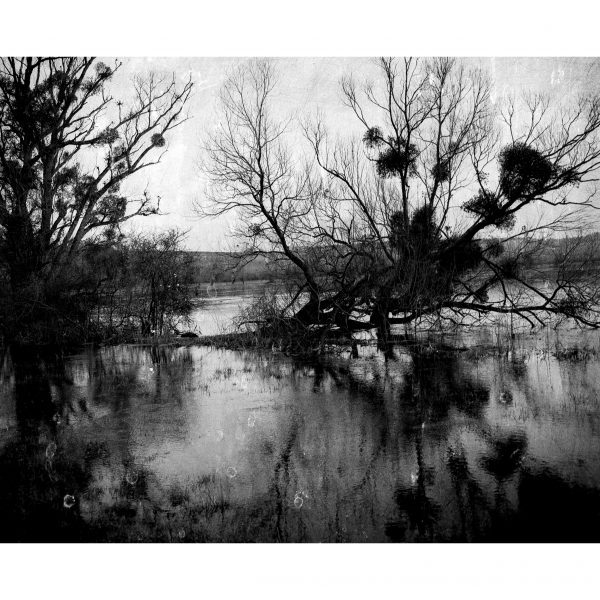 Philippe Bréson : Bord de Meuse vers Samogneux, Meuse, 2016