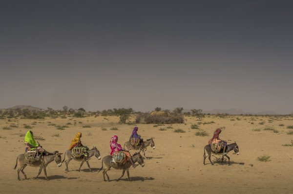 Photographie de collection représentant un groupe de jeunes filles chevauchant leurs ânes au Tchad