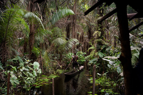 Photo couleur d'un paysage au Ghana, Fredik dans la jungle de Didier Bizet, Atelier Galerie Taylor